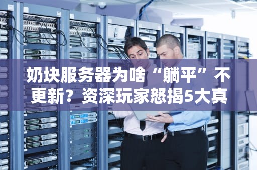 奶块服务器为啥“躺平”不更新？资深玩家怒揭5大真相！
