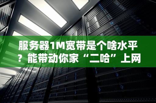 服务器1M宽带是个啥水平？能带动你家“二哈”上网冲浪吗？