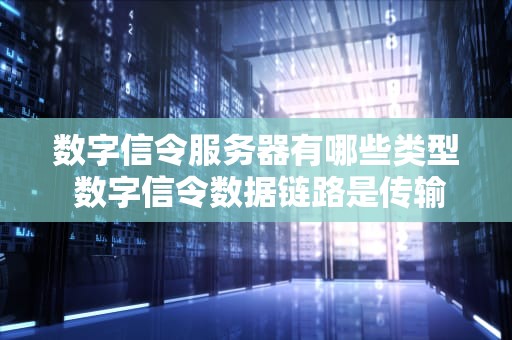 数字信令服务器有哪些类型 数字信令数据链路是传输速率为