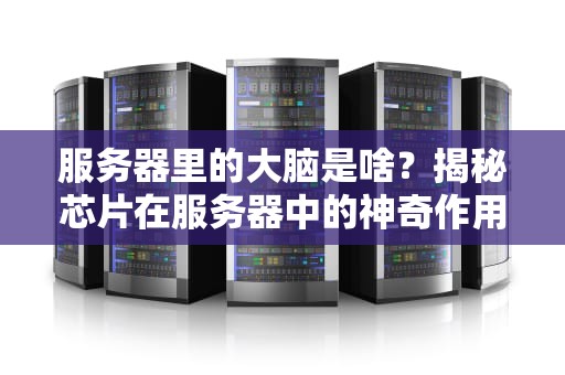服务器里的大脑是啥？揭秘芯片在服务器中的神奇作用！