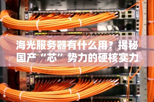 海光服务器有什么用？揭秘国产“芯”势力的硬核实力！