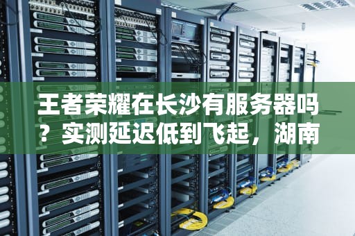 王者荣耀在长沙有服务器吗？实测延迟低到飞起，湖南玩家狂喜！