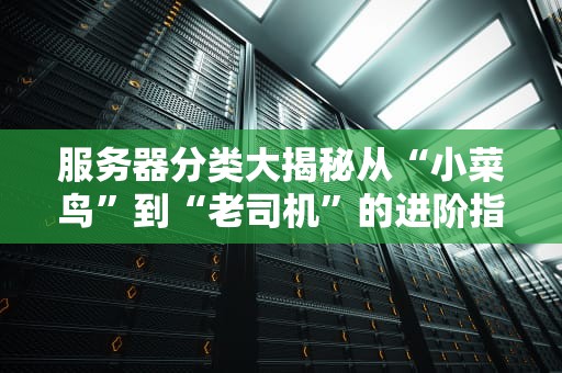 服务器分类大揭秘从“小菜鸟”到“老司机”的进阶指南