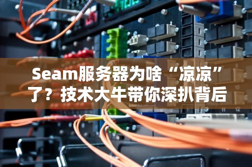 Seam服务器为啥“凉凉”了？技术大牛带你深扒背后真相！