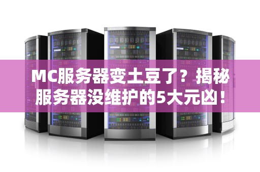 MC服务器变土豆了？揭秘服务器没维护的5大元凶！