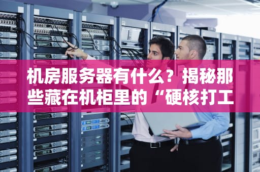 机房服务器有什么？揭秘那些藏在机柜里的“硬核打工人”！