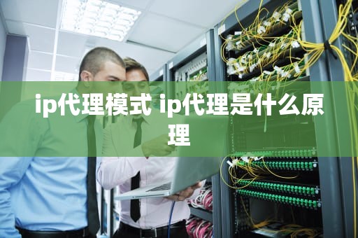 ip代理模式 ip代理是什么原理