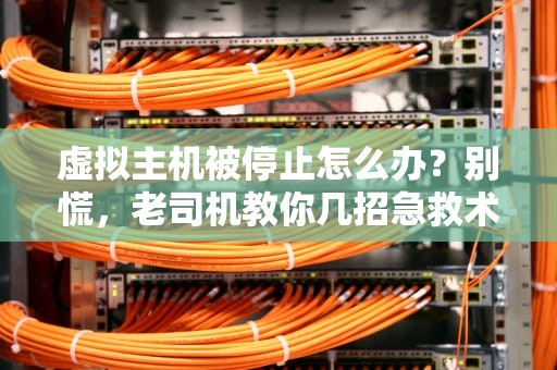 虚拟主机被停止怎么办？别慌，老司机教你几招急救术！