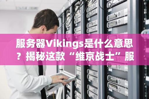服务器Vikings是什么意思？揭秘这款“维京战士”服务器的硬核实力！