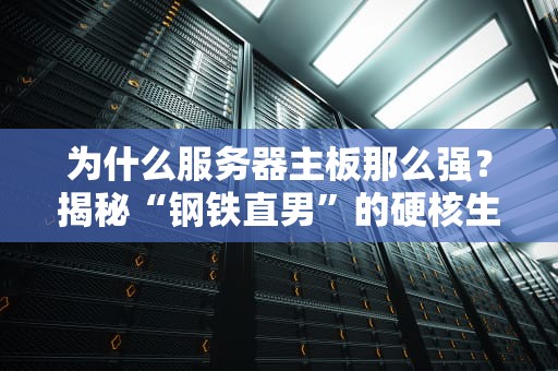 为什么服务器主板那么强？揭秘“钢铁直男”的硬核生存法则！