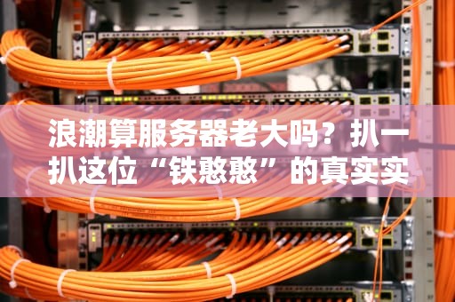 浪潮算服务器老大吗？扒一扒这位“铁憨憨”的真实实力！