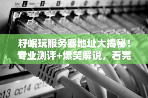 籽岷玩服务器地址大揭秘！专业测评+爆笑解说，看完秒变大神！