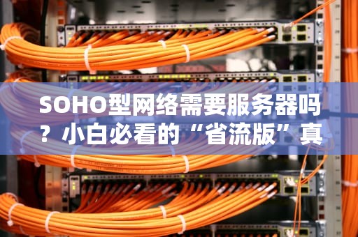 SOHO型网络需要服务器吗？小白必看的“省流版”真相！