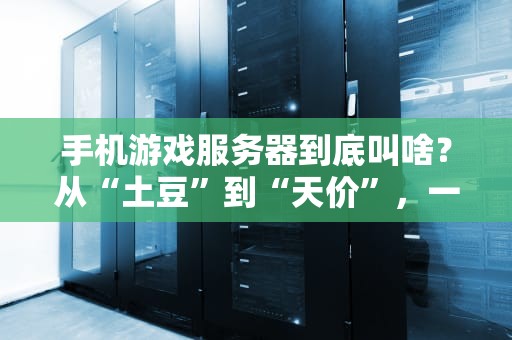 手机游戏服务器到底叫啥？从“土豆”到“天价”，一文带你吃透游戏服务器的那些事儿！
