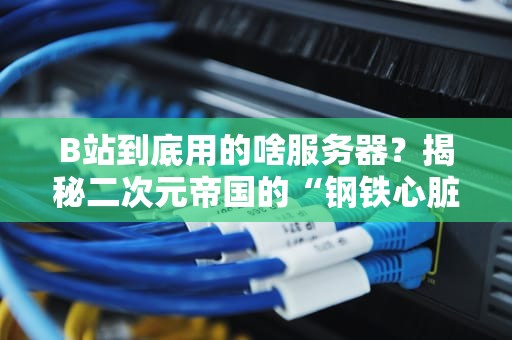 B站到底用的啥服务器？揭秘二次元帝国的“钢铁心脏”！