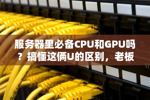 服务器里必备CPU和GPU吗？搞懂这俩U的区别，老板再也不用担心我乱花钱！