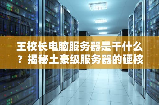 王校长电脑服务器是干什么？揭秘土豪级服务器的硬核日常！