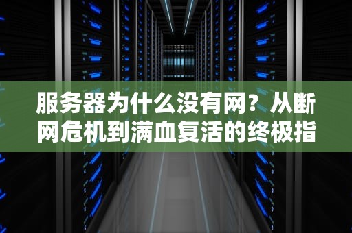 服务器为什么没有网？从断网危机到满血复活的终极指南