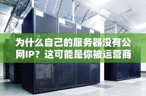 为什么自己的服务器没有公网IP？这可能是你被运营商雪藏了！