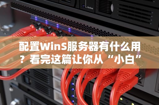 配置WinS服务器有什么用？看完这篇让你从“小白”变“大神”！
