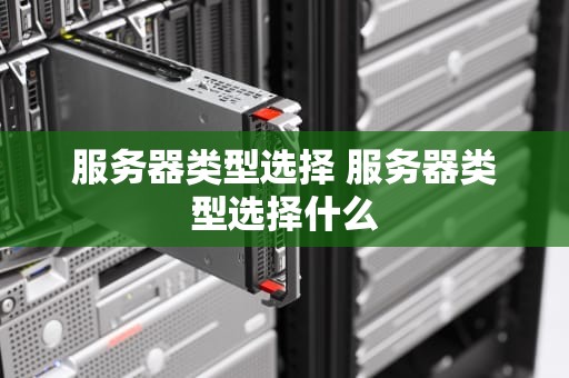 服务器类型选择 服务器类型选择什么