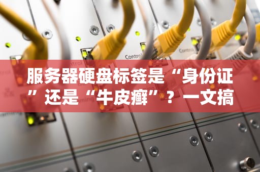 服务器硬盘标签是“身份证”还是“牛皮癣”？一文搞懂它的妙用！