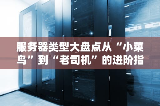 服务器类型大盘点从“小菜鸟”到“老司机”的进阶指南（版）