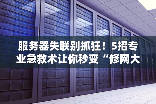 服务器失联别抓狂！5招专业急救术让你秒变“修网大神”