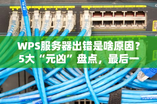 WPS服务器出错是啥原因？5大“元凶”盘点，最后一个笑出猪叫！