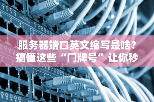 服务器端口英文缩写是啥？搞懂这些“门牌号”让你秒变网络老司机！