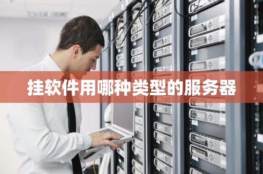 挂软件用哪种类型的服务器
