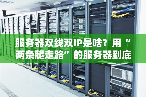 服务器双线双IP是啥？用“两条腿走路”的服务器到底有多香？
