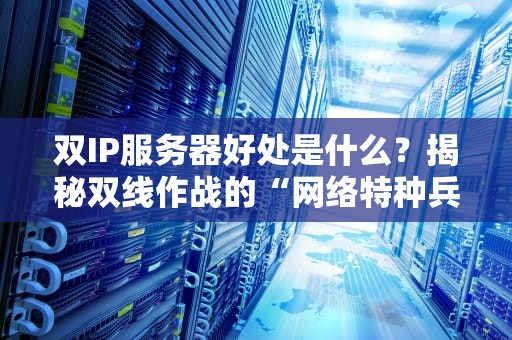 双IP服务器好处是什么？揭秘双线作战的“网络特种兵”