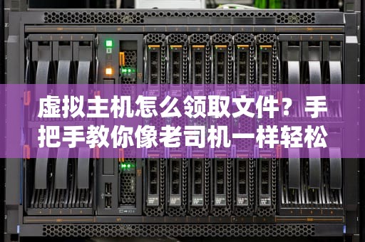 虚拟主机怎么领取文件？手把手教你像老司机一样轻松搞定！