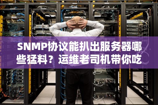 SNMP协议能扒出服务器哪些猛料？运维老司机带你吃瓜围观！