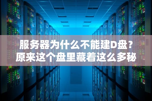 服务器为什么不能建D盘？原来这个盘里藏着这么多秘密！