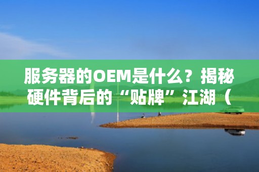 服务器的OEM是什么？揭秘硬件背后的“贴牌”江湖（附专业选购指南）