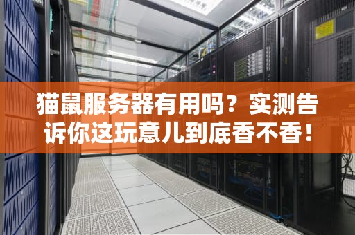 猫鼠服务器有用吗？实测告诉你这玩意儿到底香不香！