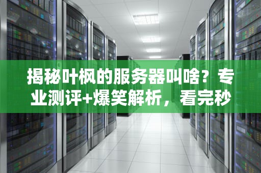 揭秘叶枫的服务器叫啥？专业测评+爆笑解析，看完秒懂！