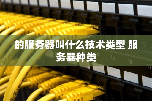 的服务器叫什么技术类型 服务器种类