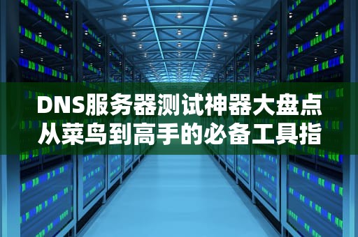 DNS服务器测试神器大盘点从菜鸟到高手的必备工具指南