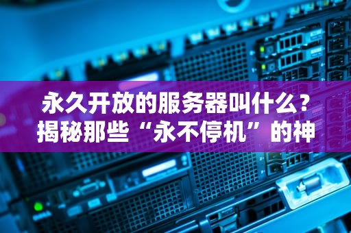 永久开放的服务器叫什么？揭秘那些“永不停机”的神奇主机！