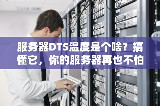 服务器DTS温度是个啥？搞懂它，你的服务器再也不怕“发烧”啦！