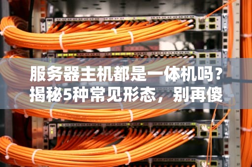 服务器主机都是一体机吗？揭秘5种常见形态，别再傻傻分不清！