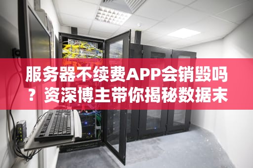 服务器不续费APP会销毁吗？资深博主带你揭秘数据末日真相！
