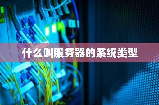 什么叫服务器的系统类型