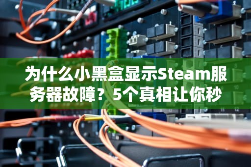为什么小黑盒显示Steam服务器故障？5个真相让你秒变“网络福尔摩斯”！