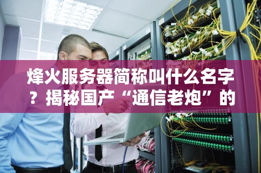 烽火服务器简称叫什么名字？揭秘国产“通信老炮”的硬核实力！