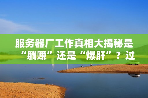 服务器厂工作真相大揭秘是“躺赚”还是“爆肝”？过来人用CPU温度告诉你答案！