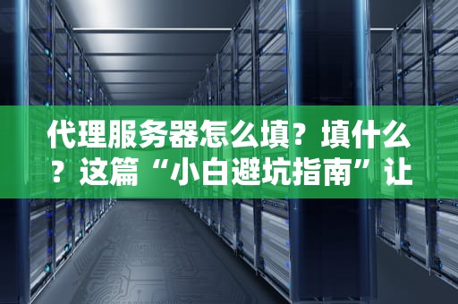 代理服务器怎么填？填什么？这篇“小白避坑指南”让你秒变网络老司机！